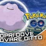 ditto | la bibbia dei codici