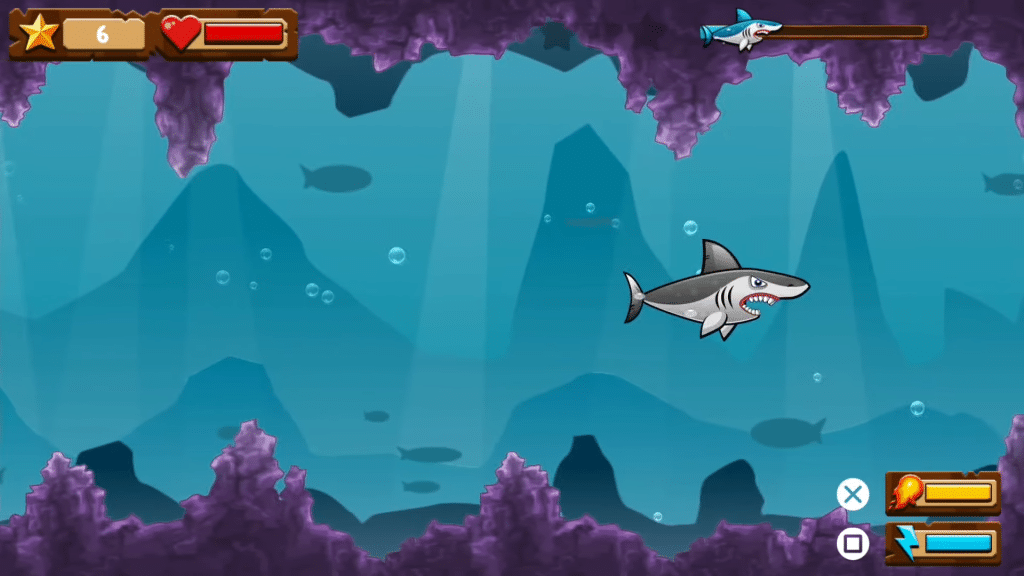 shark adventure