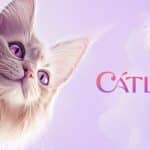 catly