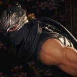 ninja gaiden 2 black