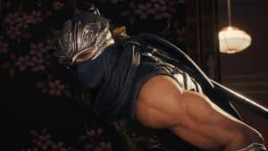 ninja gaiden 2 black